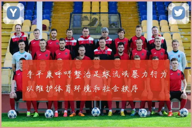 李平康呼吁整治足球流氓暴力行为以维护体育环境和社会秩序
